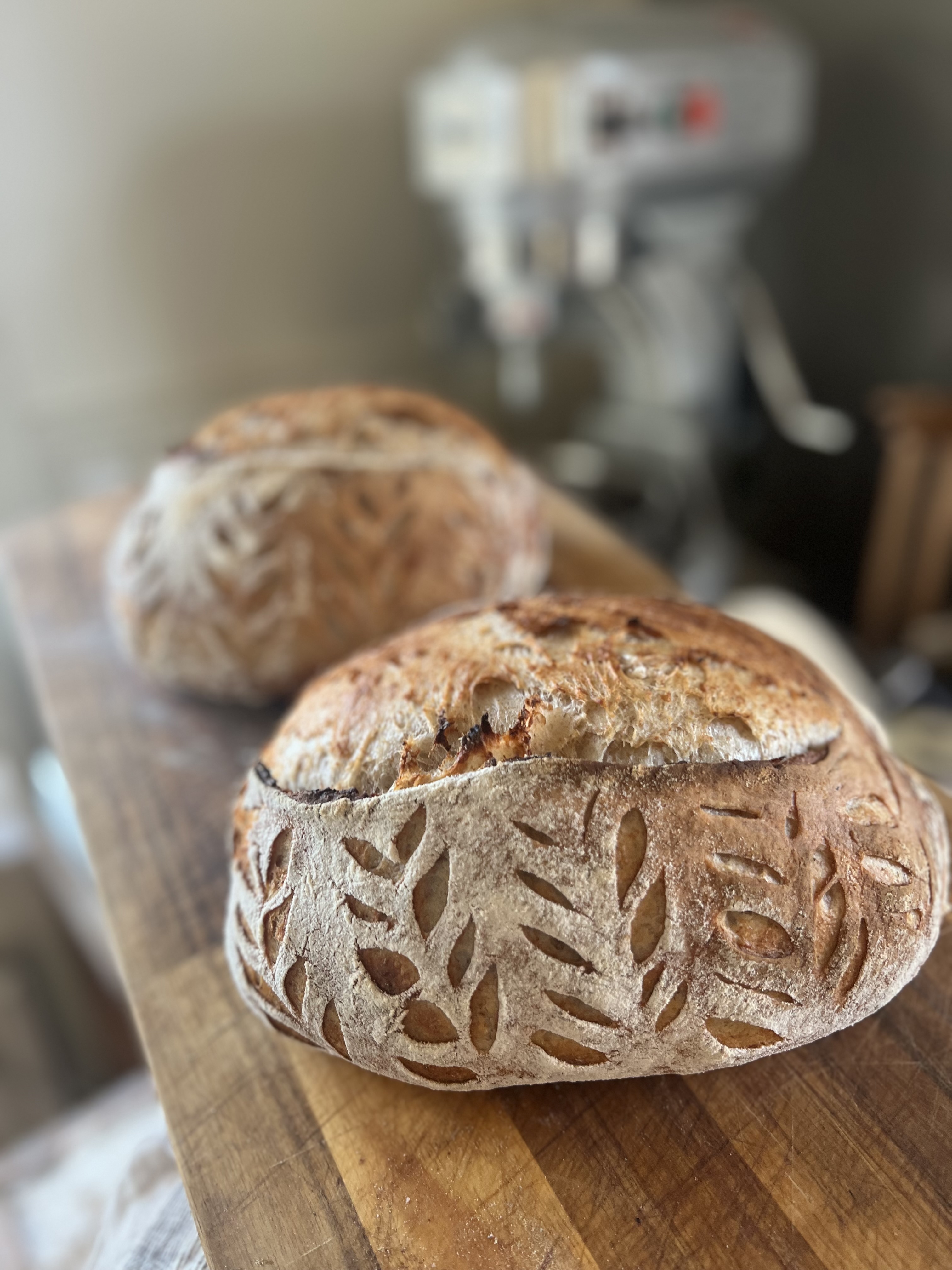 SURDEGSBRÖD, BRÖD, FIKA